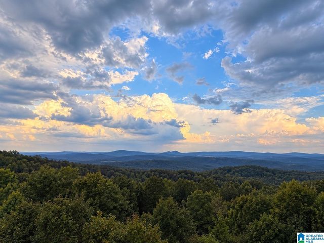 1050 SUMMIT RIDGE WAY, Odenville, AL 35120