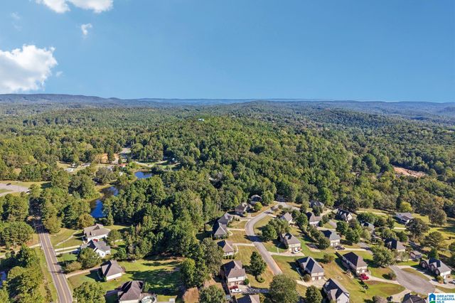1050 SUMMIT RIDGE WAY, Odenville, AL 35120