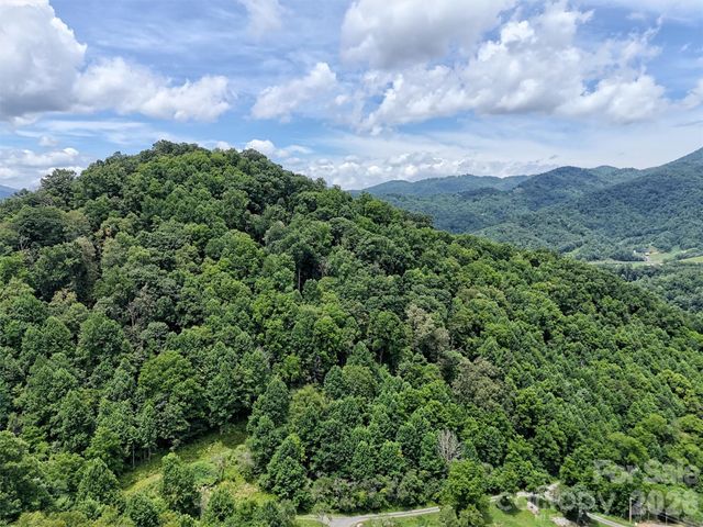 00 Wayward Cove, Clyde, NC 28721