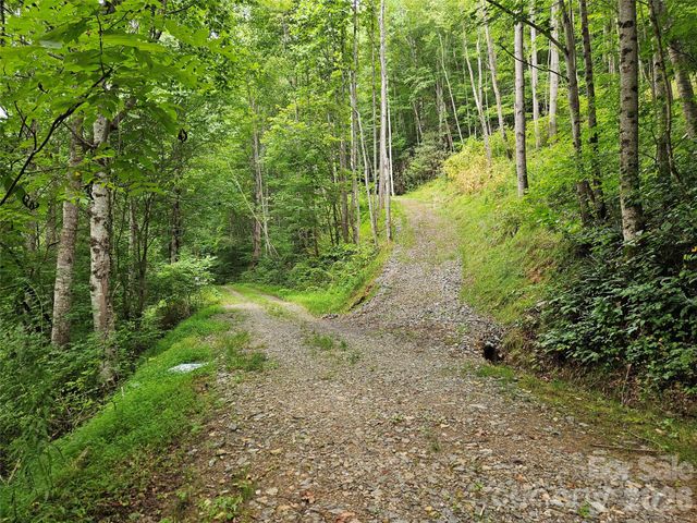 00 Wayward Cove, Clyde, NC 28721