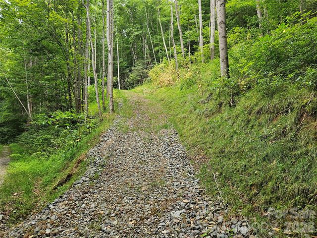 00 Wayward Cove, Clyde, NC 28721