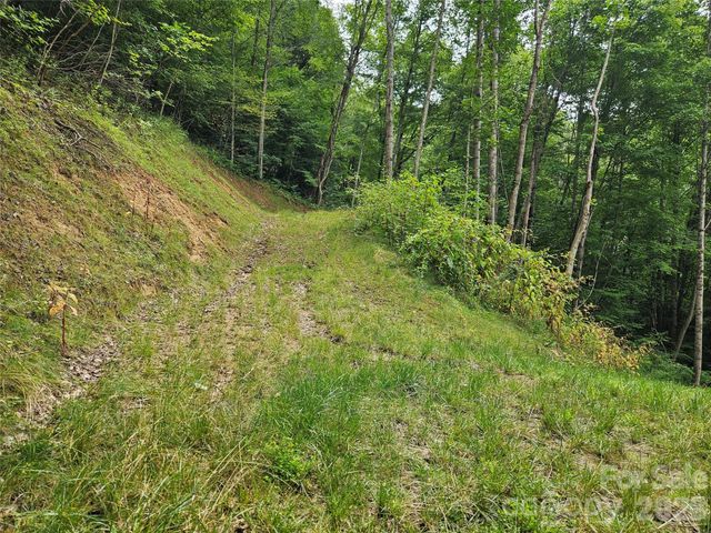 00 Wayward Cove, Clyde, NC 28721