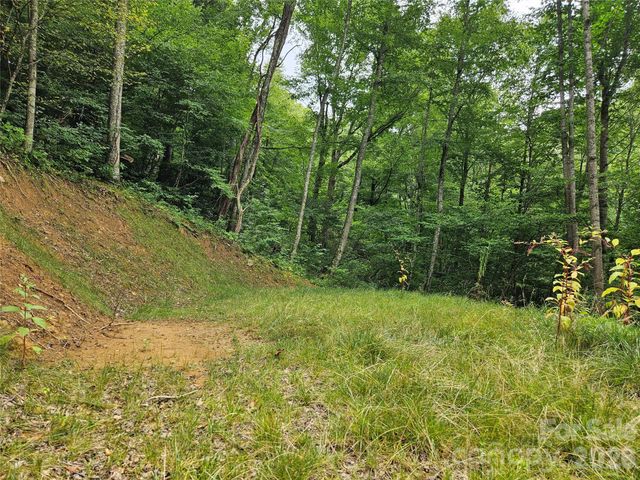 00 Wayward Cove, Clyde, NC 28721