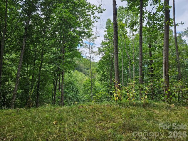 00 Wayward Cove, Clyde, NC 28721