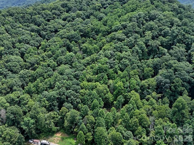 00 Wayward Cove, Clyde, NC 28721