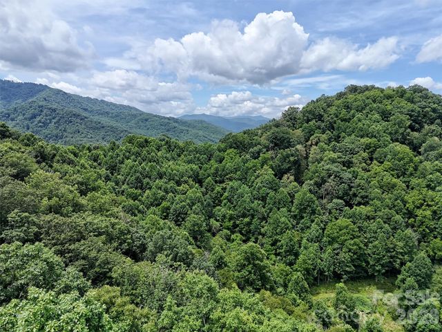 00 Wayward Cove, Clyde, NC 28721