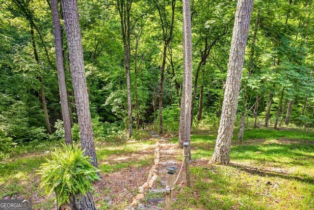 285 Julep Circle 678R2, Ellijay, GA 30540