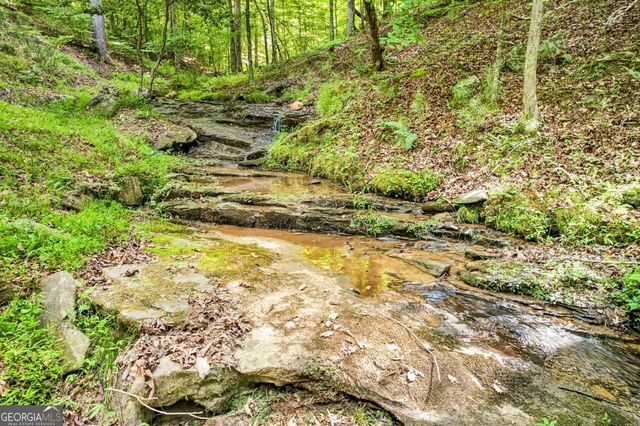 285 Julep Circle 678R2, Ellijay, GA 30540