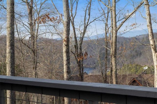 56 Robins Ridge, Blue Ridge, GA 30513