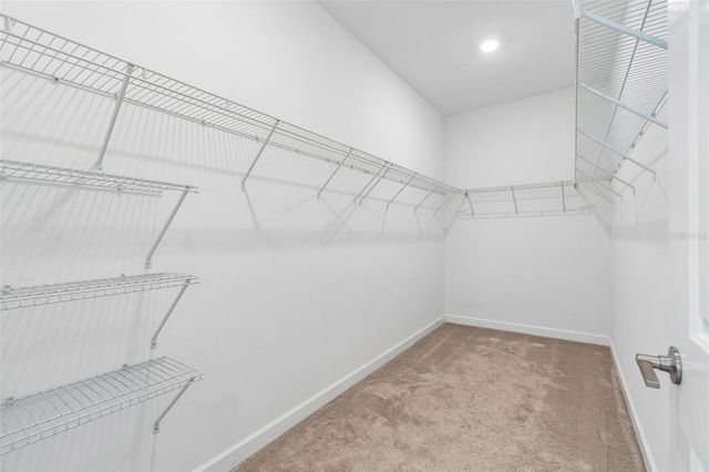 25057 LAMBRUSCO LOOP, Lutz, FL 33559