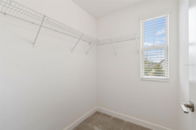 25057 LAMBRUSCO LOOP, Lutz, FL 33559