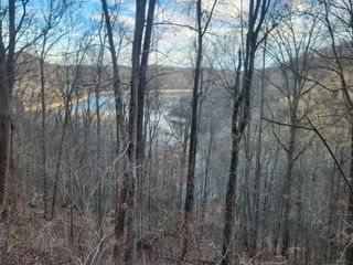 1 Antler Drive, Smithville, TN 37166