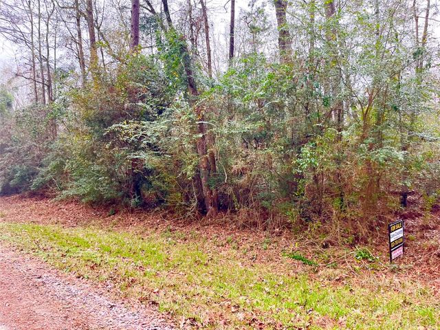 TBD Pine Valley Drive, Shepherd, TX 77371