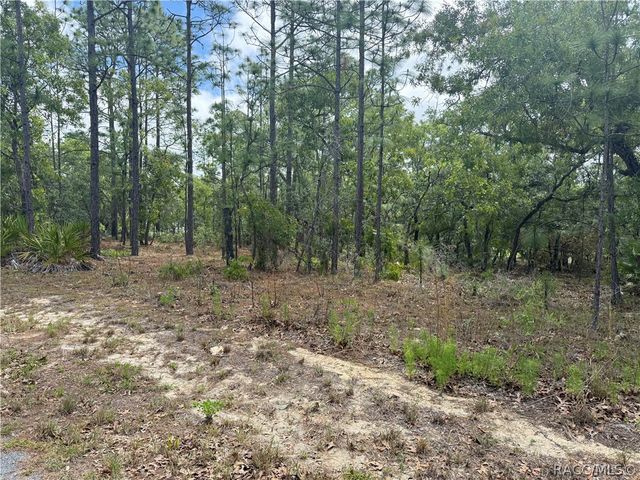 7 Drypetes Court W, Homosassa, FL 34446