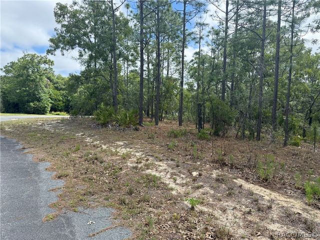 7 Drypetes Court W, Homosassa, FL 34446