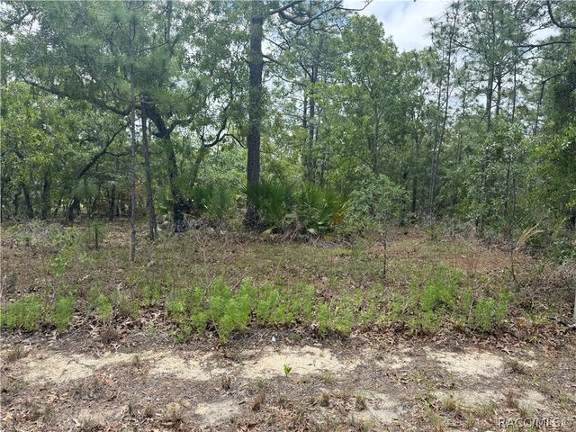 7 Drypetes Court W, Homosassa, FL 34446