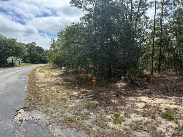 7 Drypetes Court W, Homosassa, FL 34446