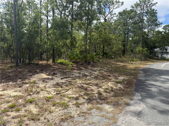 7 Drypetes Court W, Homosassa, FL 34446