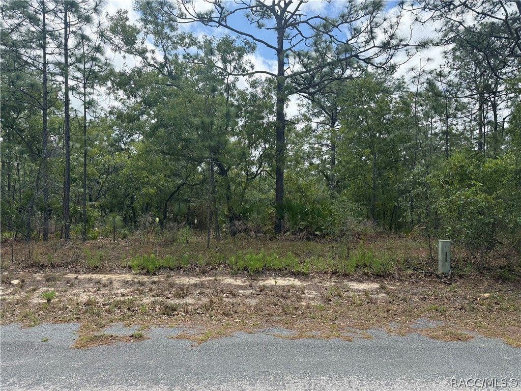 7 Drypetes Court W, Homosassa, FL 34446