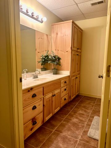 136 Riverview Drive, Mammoth Spring, AR 72554