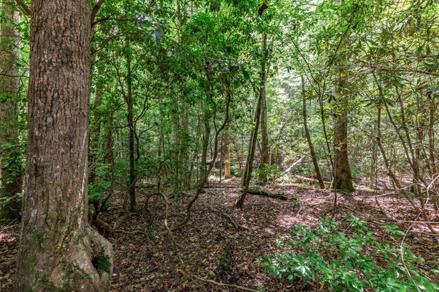 Lot 12 Rocking Chair Ridge, Mineral Bluff, GA 30559