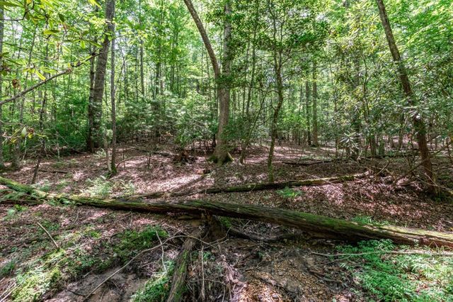 Lot 12 Rocking Chair Ridge, Mineral Bluff, GA 30559