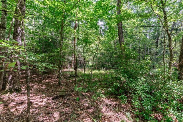 Lot 12 Rocking Chair Ridge, Mineral Bluff, GA 30559