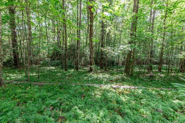 Lot 12 Rocking Chair Ridge, Mineral Bluff, GA 30559