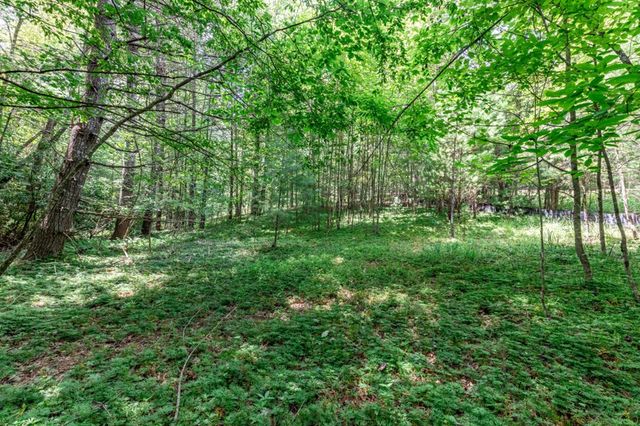 Lot 12 Rocking Chair Ridge, Mineral Bluff, GA 30559