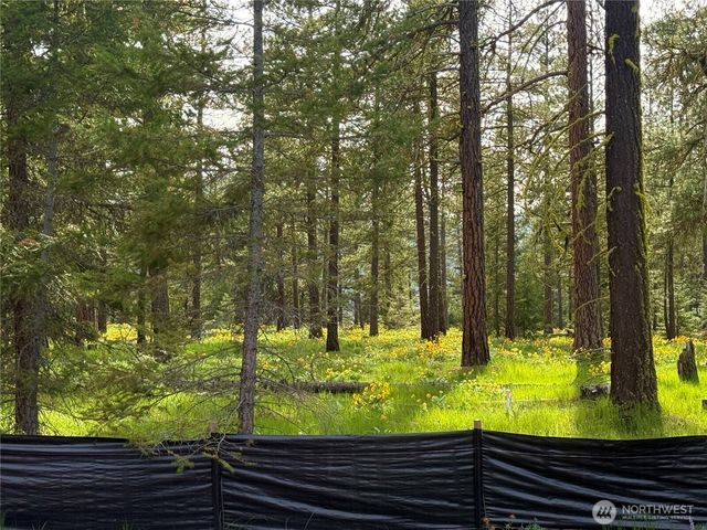 131 Plateau Loop, Cle Elum, WA 98922