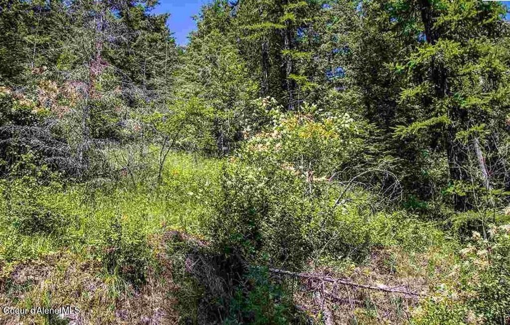 NNA N Quail Run Rd, Sandpoint, ID 83864 photo 11