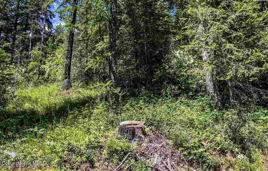 NNA N Quail Run Rd, Sandpoint, ID 83864 photo 15