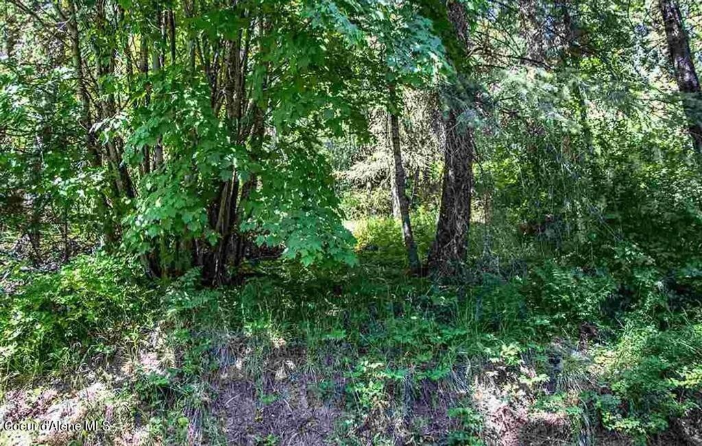 NNA N Quail Run Rd, Sandpoint, ID 83864 photo 16