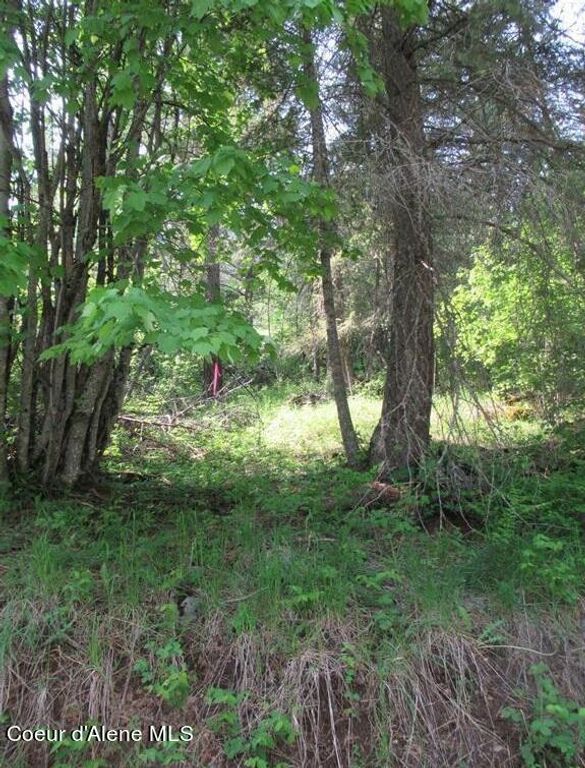 NNA N Quail Run Rd, Sandpoint, ID 83864 photo 19