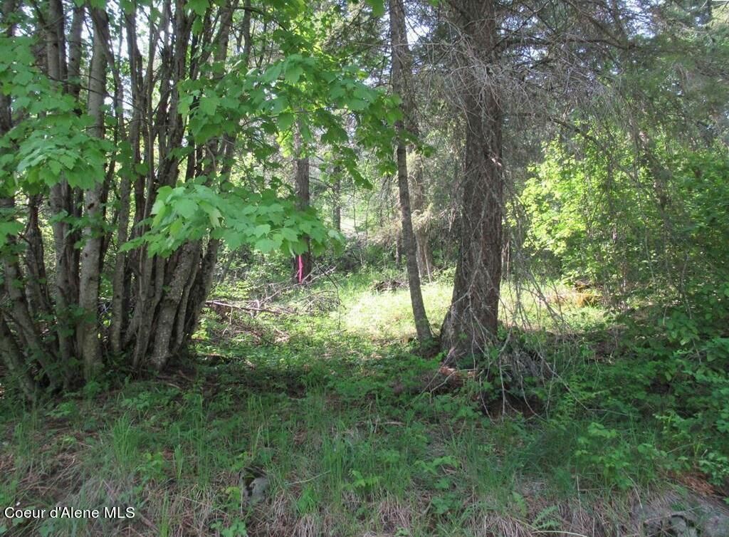 NNA N Quail Run Rd, Sandpoint, ID 83864 photo 20