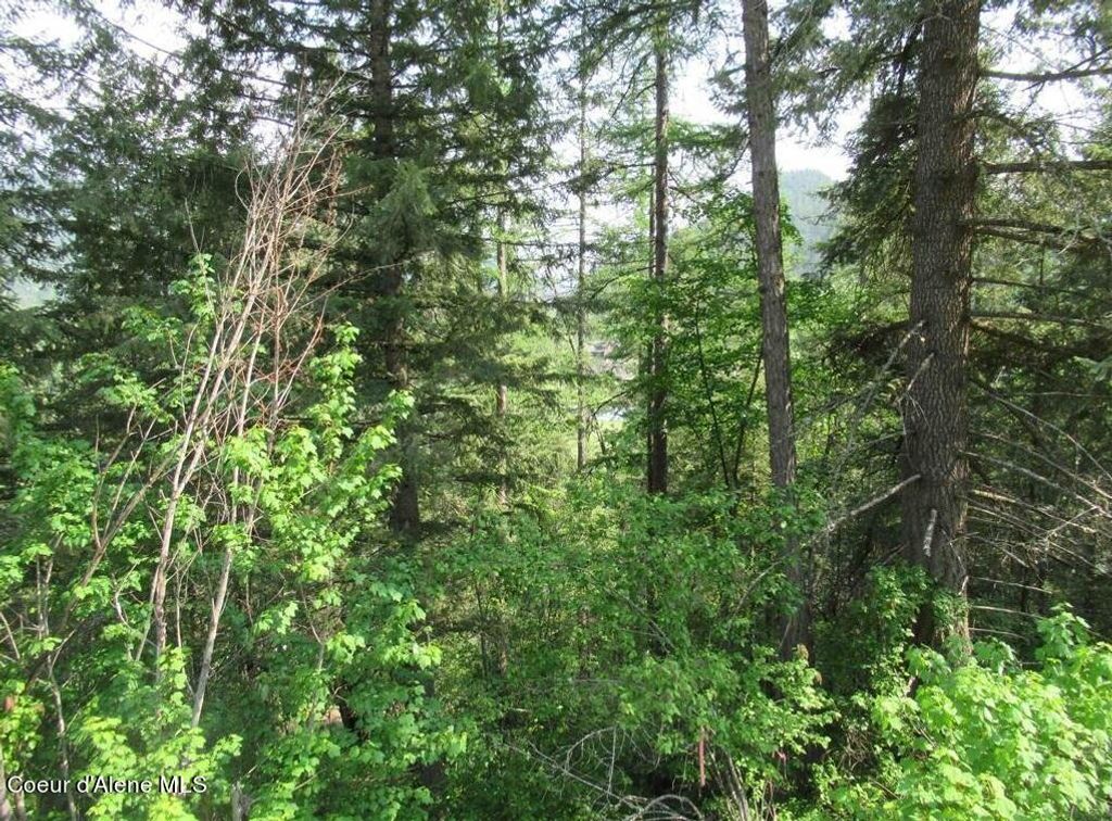 NNA N Quail Run Rd, Sandpoint, ID 83864 photo 23