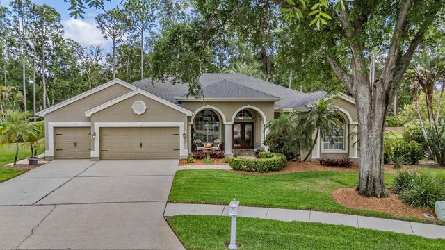3596 FLORIAN TERRACE, Palm Harbor, FL 34685