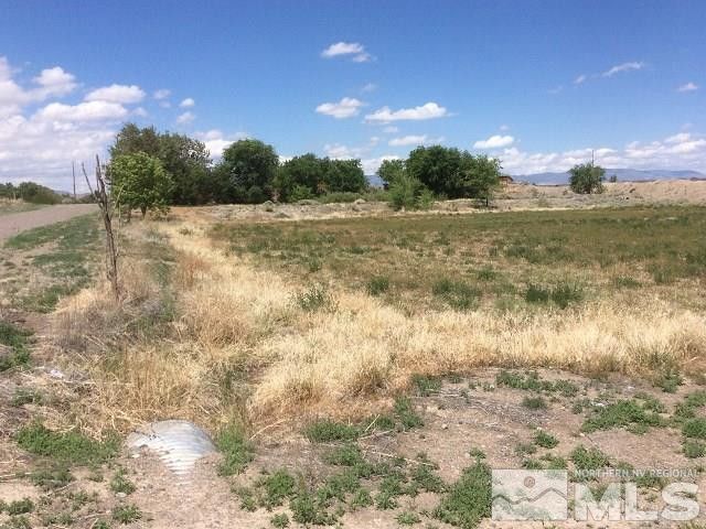 1075 Browne Lane, Fernley, NV 89408