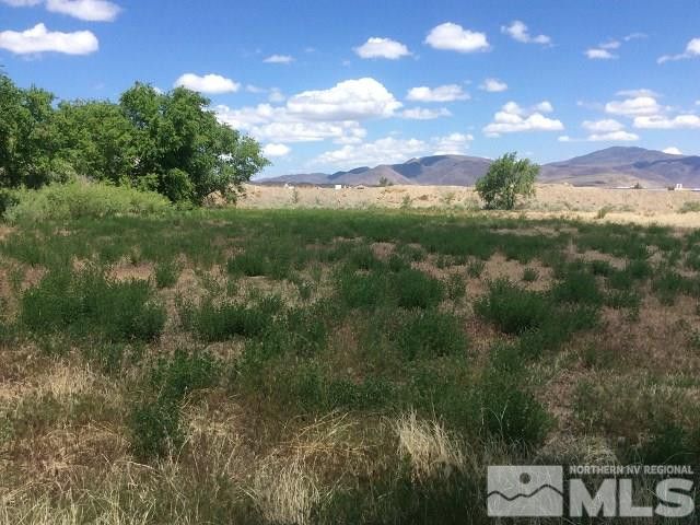 1075 Browne Lane, Fernley, NV 89408