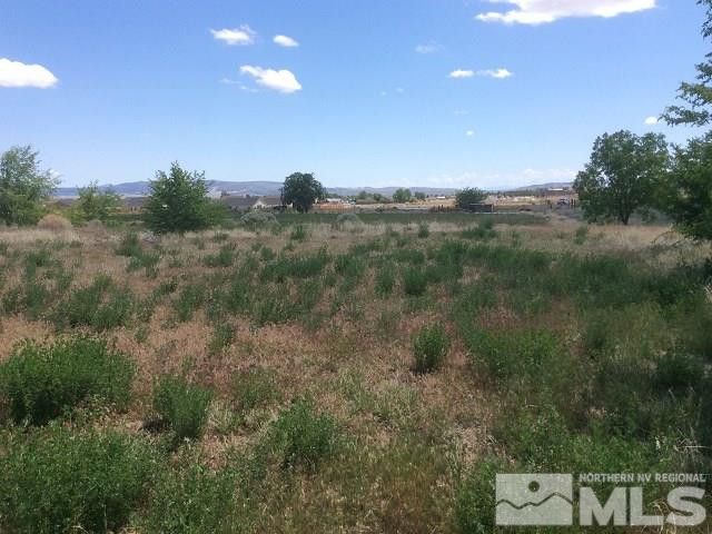 1075 Browne Lane, Fernley, NV 89408