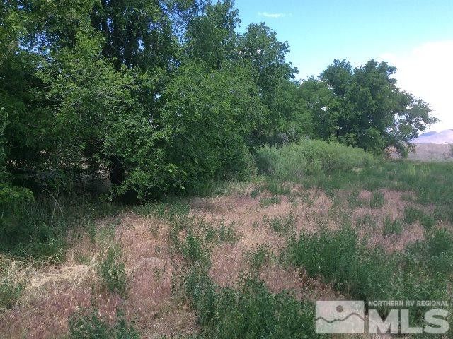 1075 Browne Lane, Fernley, NV 89408