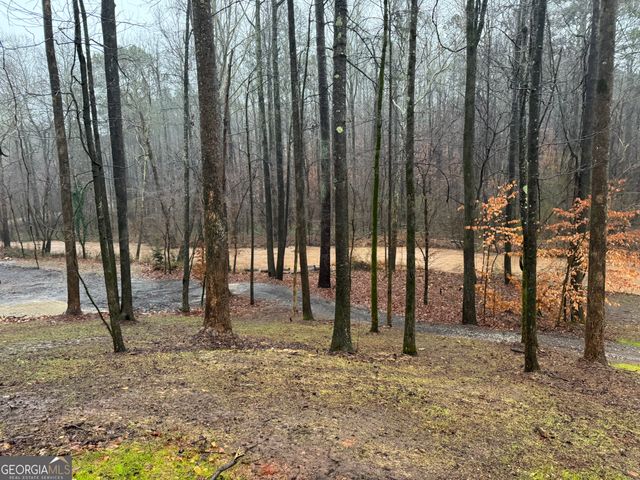 1542 Silver Hill Road, Stone Mountain, GA 30087