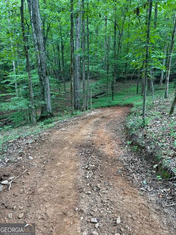 1542 Silver Hill Road, Stone Mountain, GA 30087