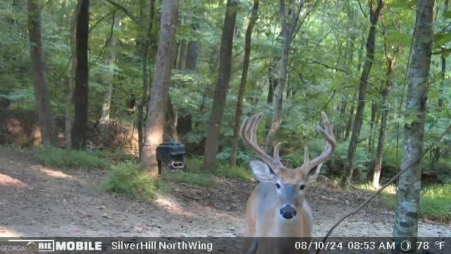 1542 Silver Hill Road, Stone Mountain, GA 30087