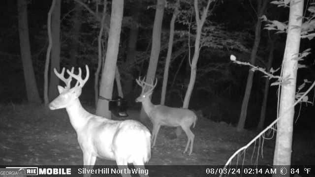 1542 Silver Hill Road, Stone Mountain, GA 30087