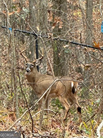 1542 Silver Hill Road, Stone Mountain, GA 30087