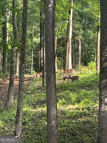 1542 Silver Hill Road, Stone Mountain, GA 30087