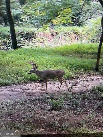 1542 Silver Hill Road, Stone Mountain, GA 30087