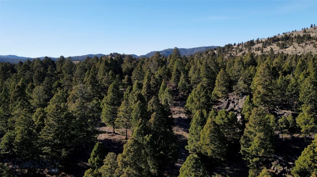 91 Upper Rader Creek Road, Whitehall, MT 59759 — photo 5
