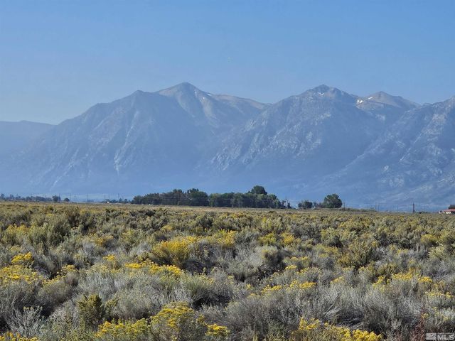 1205 Stephanie Way 57, Minden, NV 89423